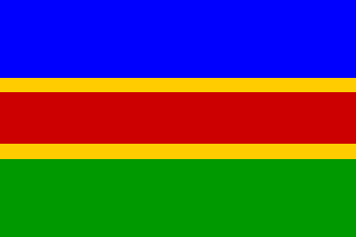 swapo flag